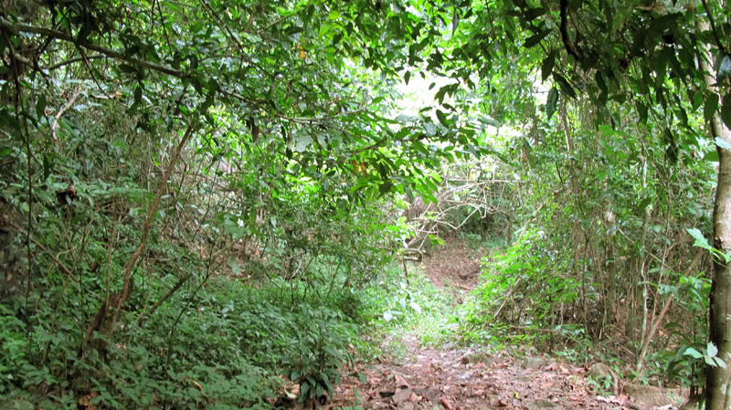 TayYenTu1010587.jpg