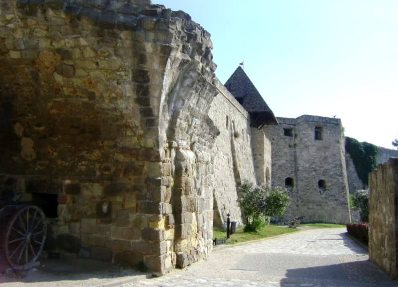 dsc05738.jpg