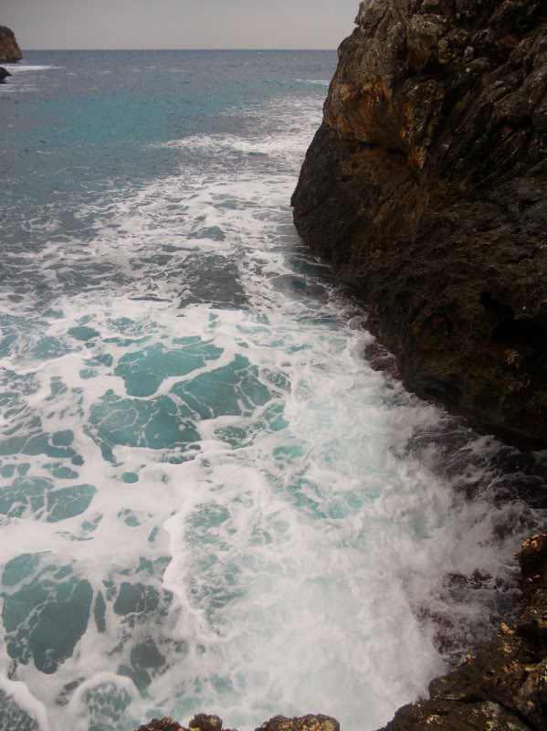 DSCN6422.jpg