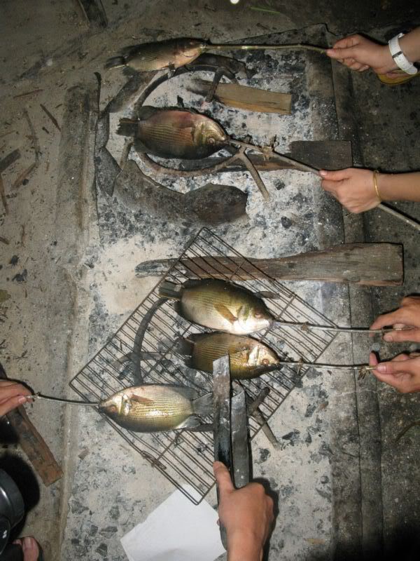 IMG_2293.jpg