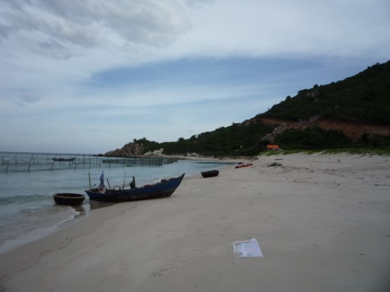 P1010576800x600.jpg