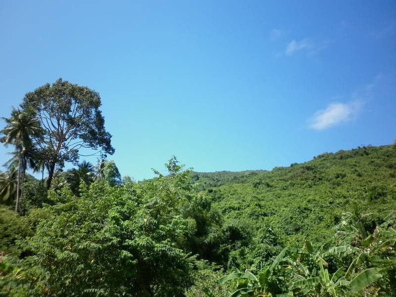 P1000941.jpg