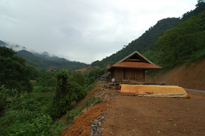 DSC_3950.jpg