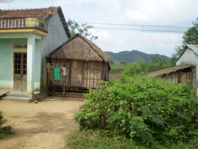 P1010176.jpg