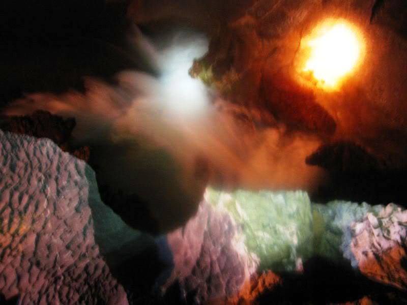 IMG_8977.jpg