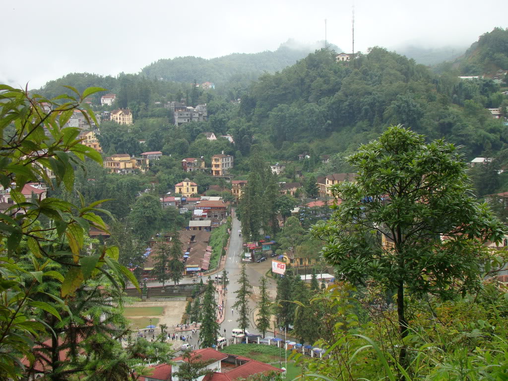 DSC09505.jpg