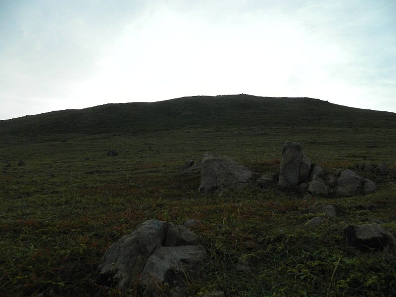 DSCN4530_358.jpg