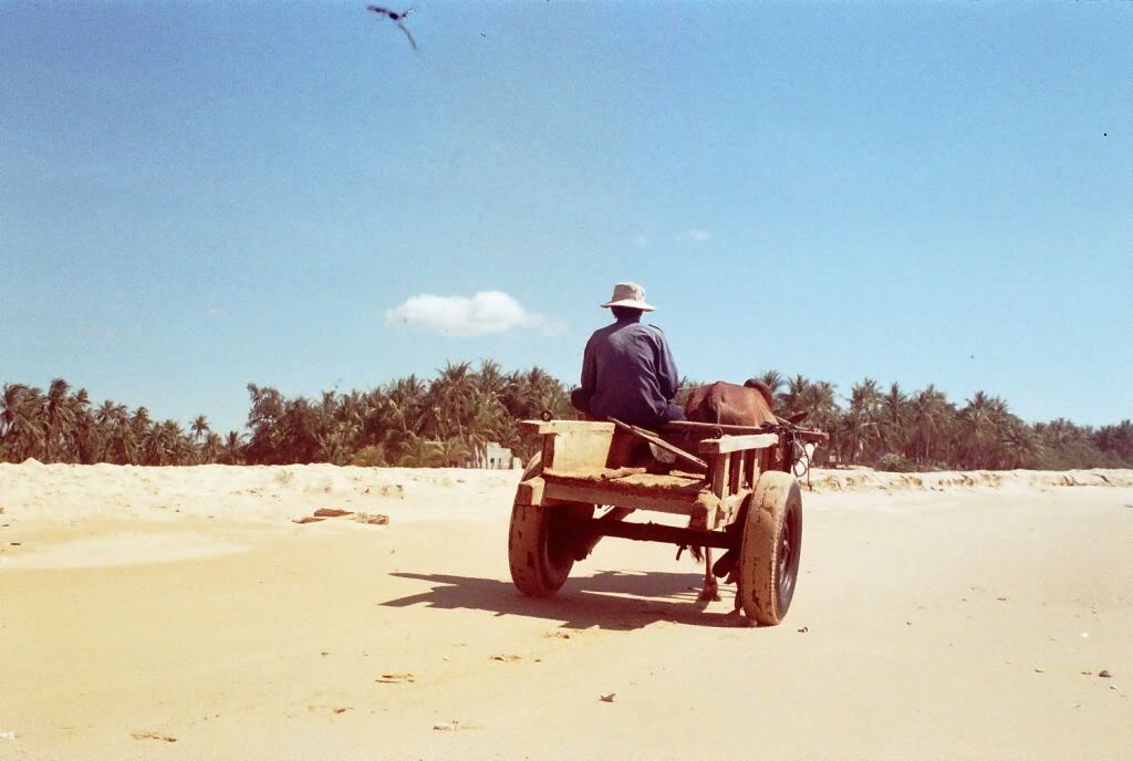 r001-032.jpg
