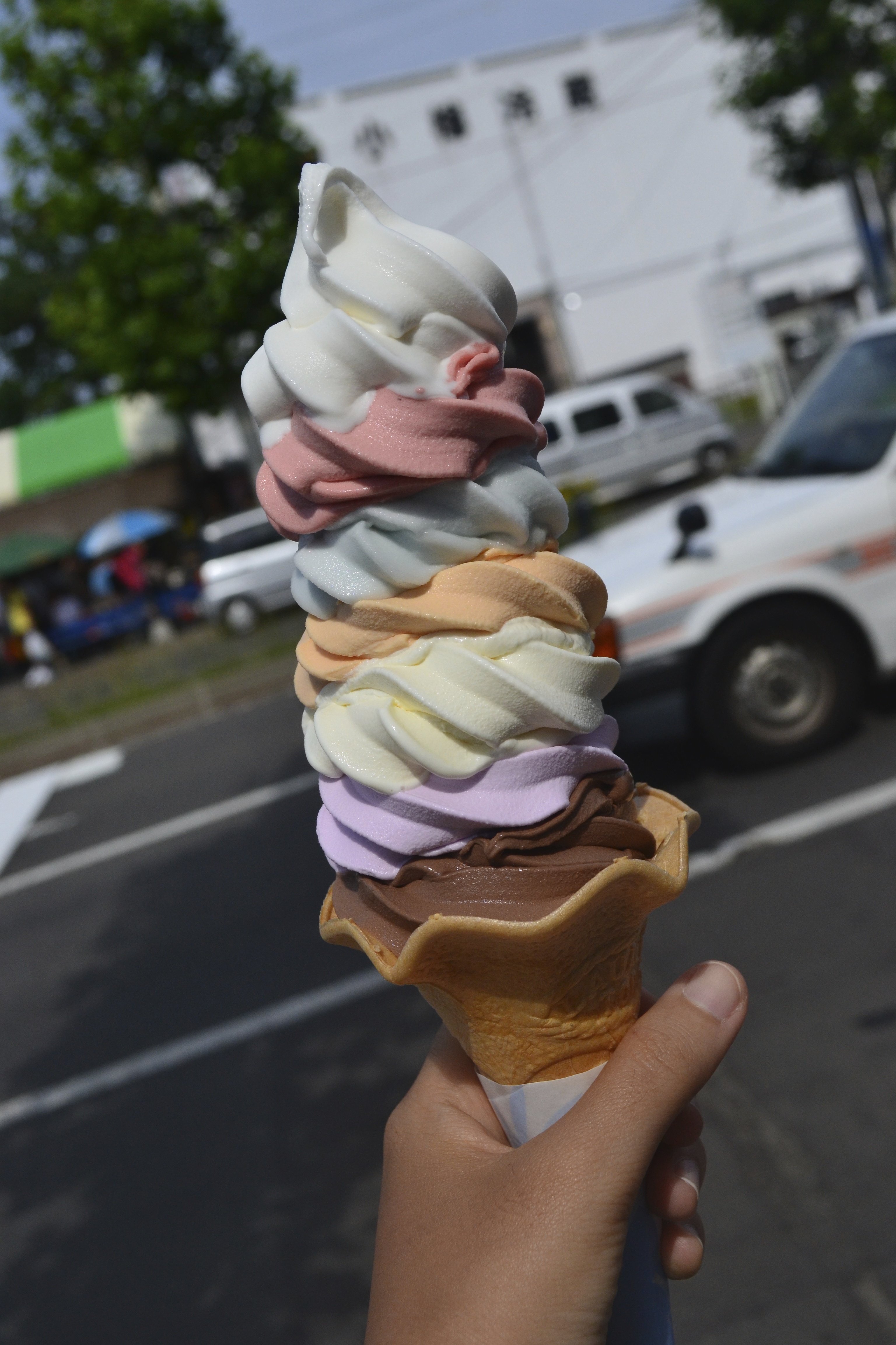 dsc_1123.jpg