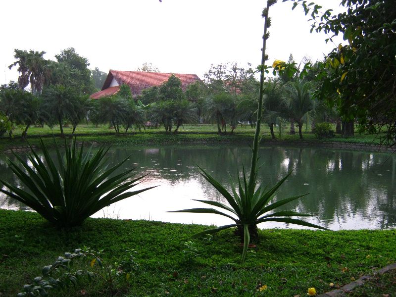 IMG_9693.jpg