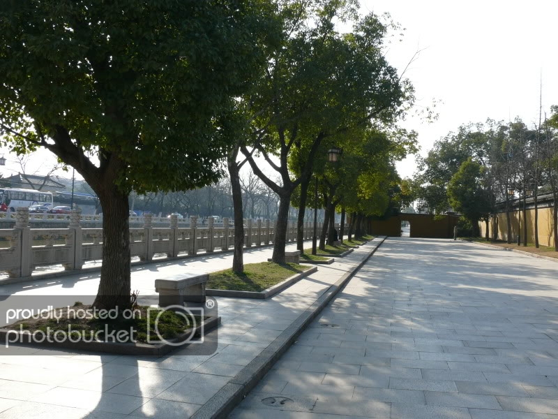 P1100487.jpg