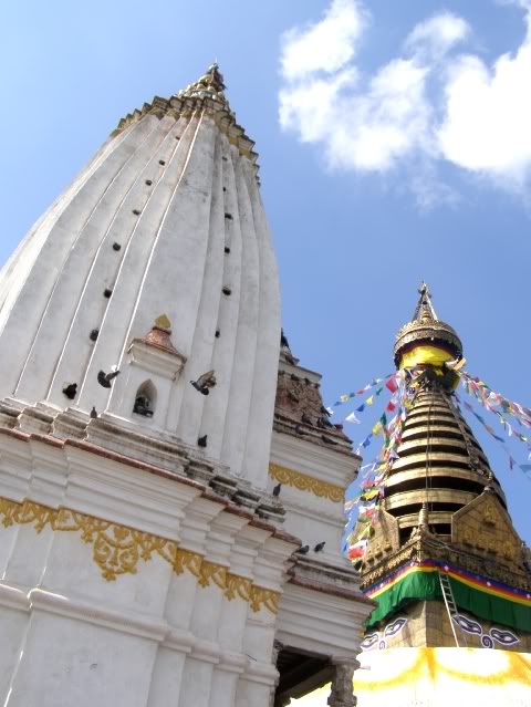 PA280733.jpg