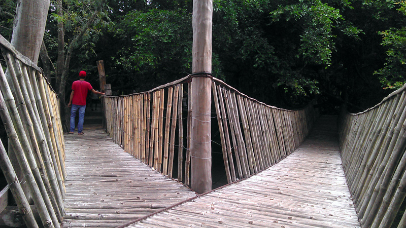 6168111785_3e1ac78599_b.jpg