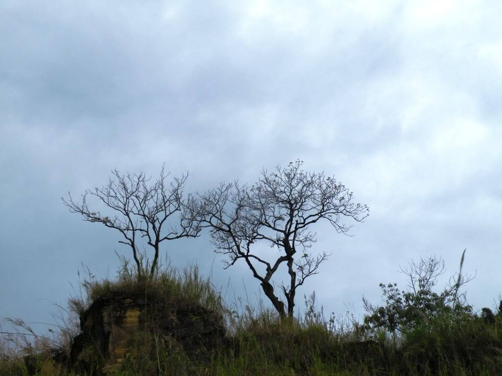 DSCF8712.jpg