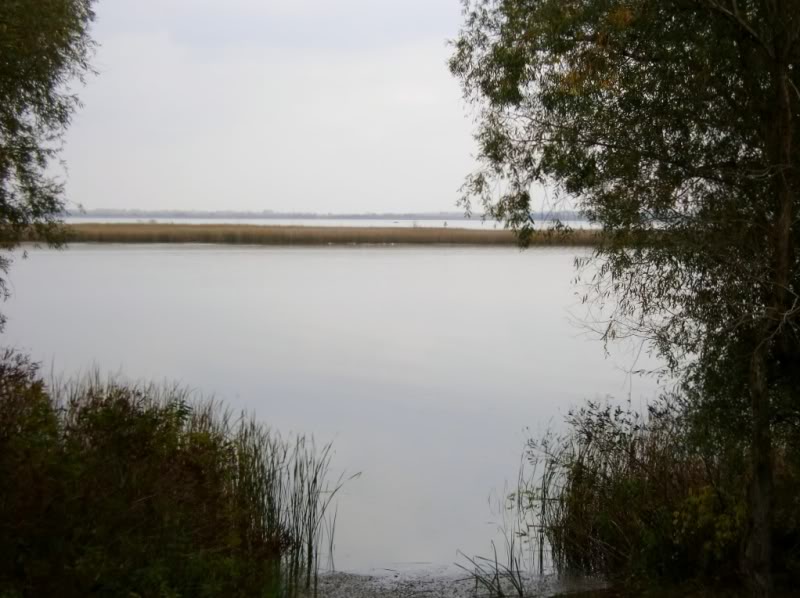 Lake41.jpg