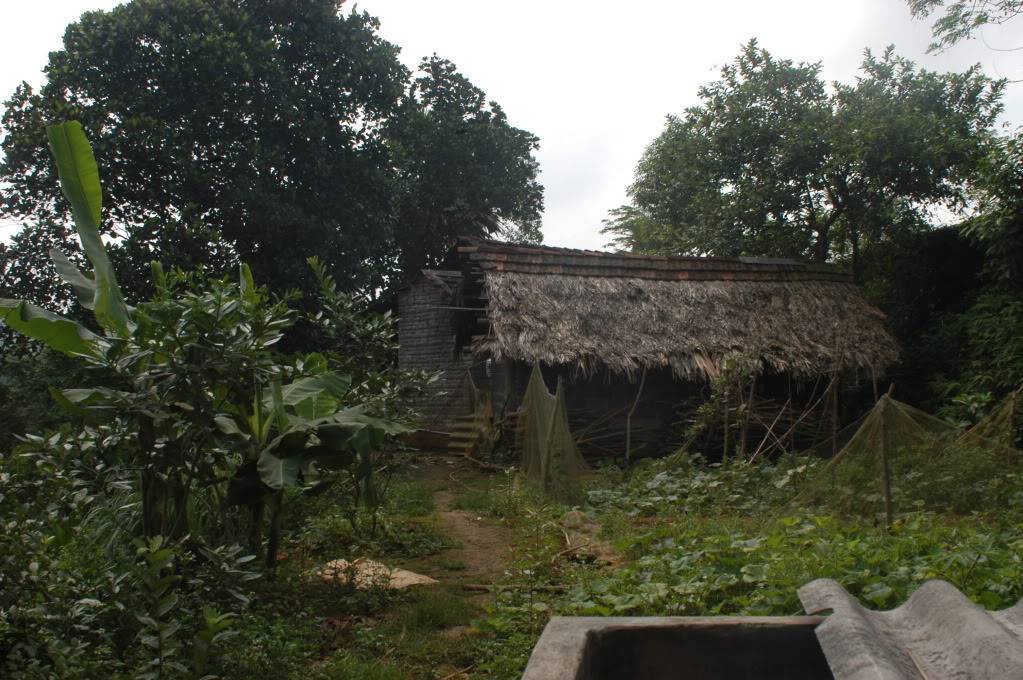 phutho041.jpg