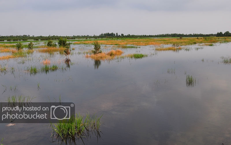 DSC_5206.jpg