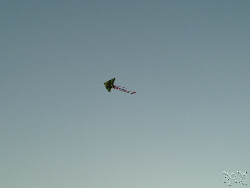 V9040042.jpg