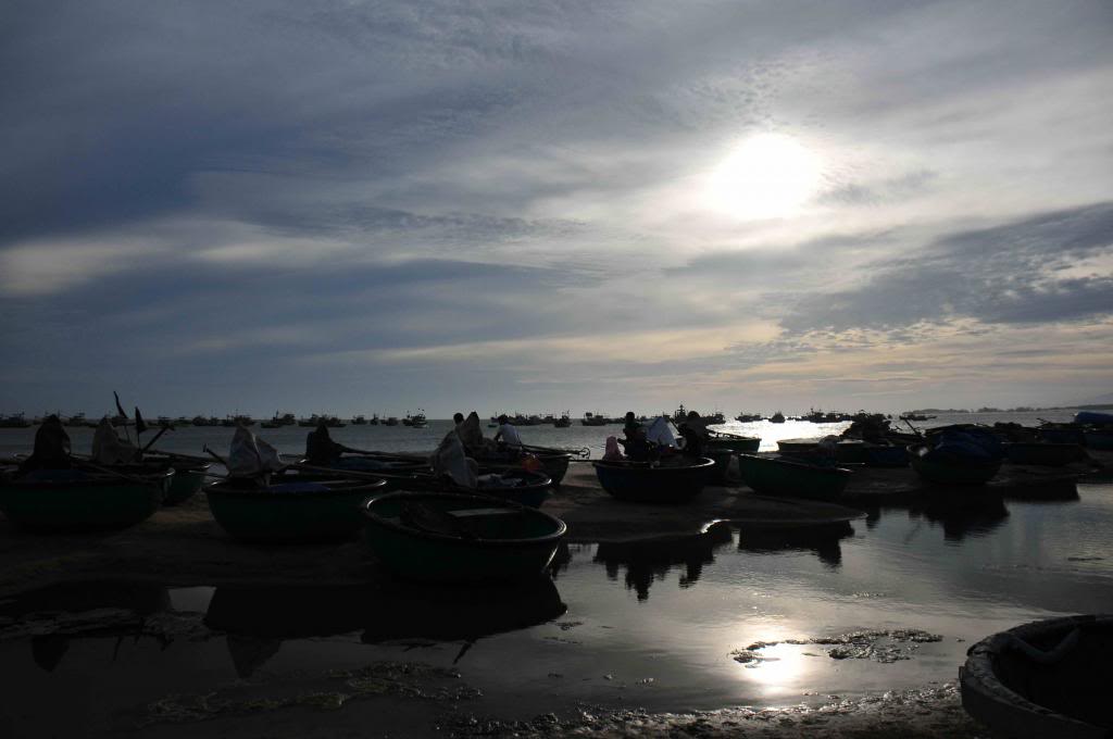 DSC_1311_zps0b39dd7f.jpg
