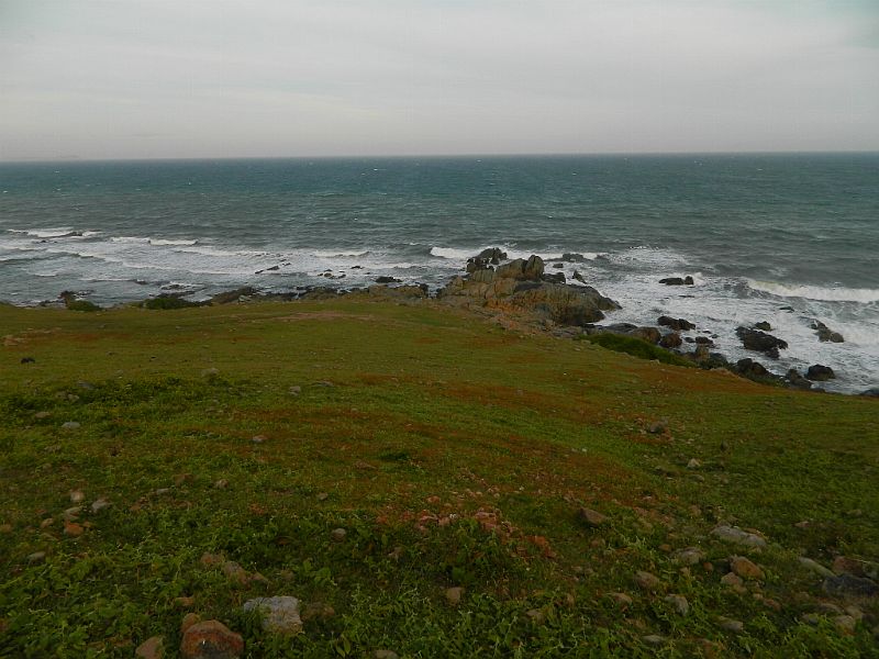 DSCN4550_378.jpg