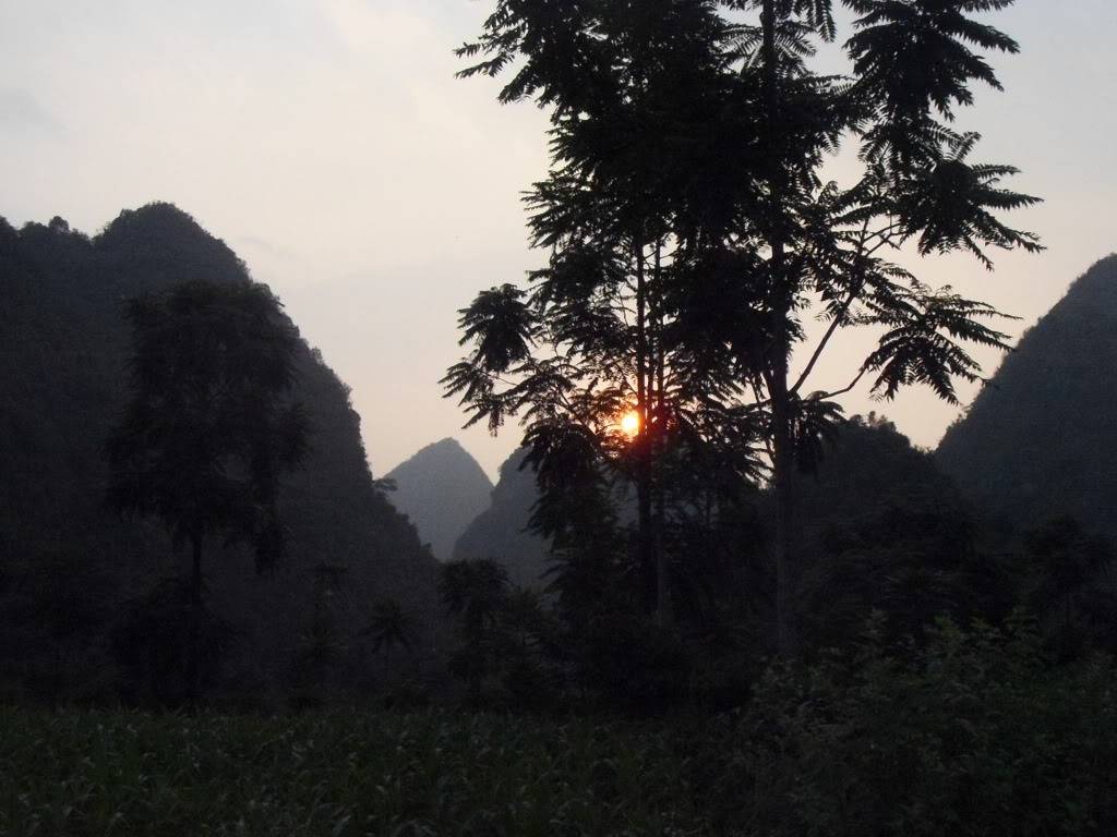 SDC12290.jpg