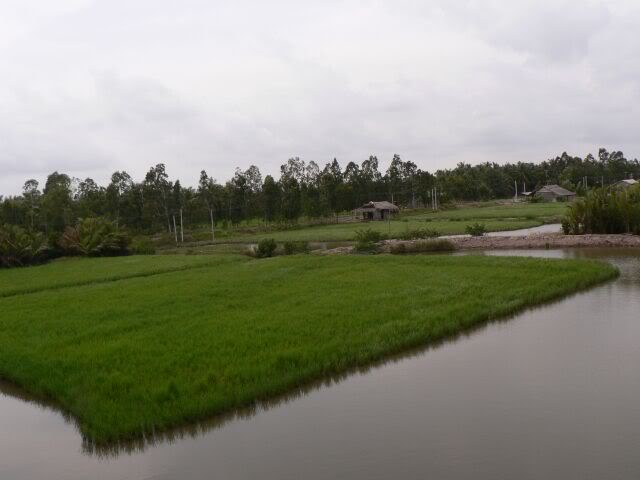 P1150253.jpg