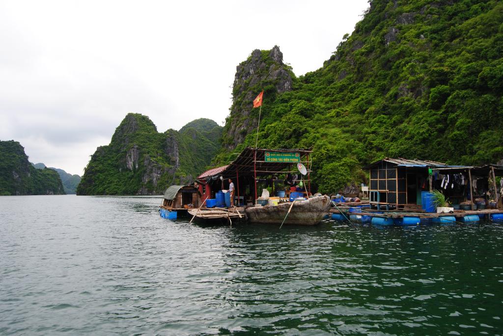 DSC_0089.jpg