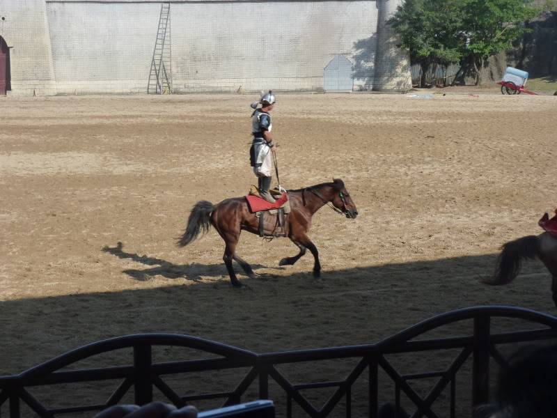 P1030604-1.jpg