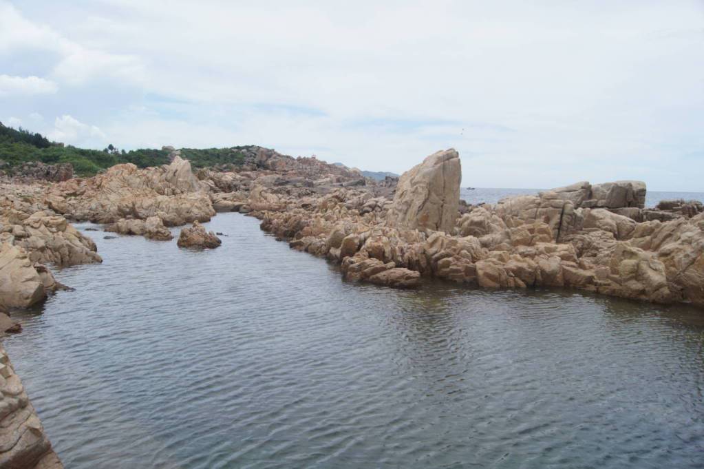 DSC01596FILEminimizer.jpg