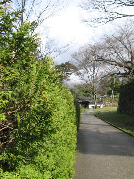 IMG_1742_resize.jpg