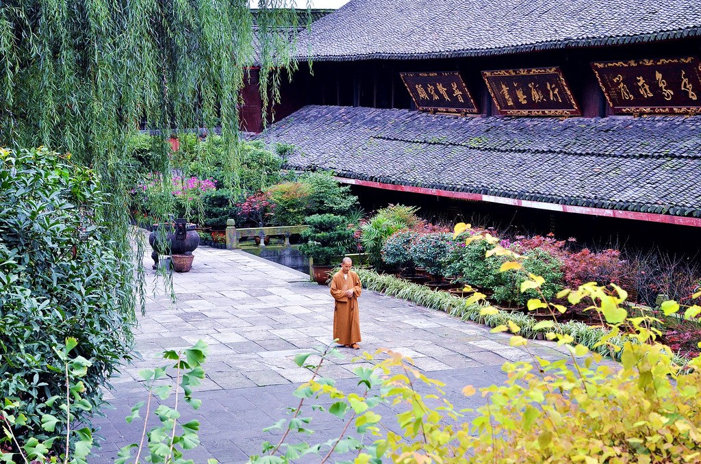 10905581866_ede799c689_b.jpg