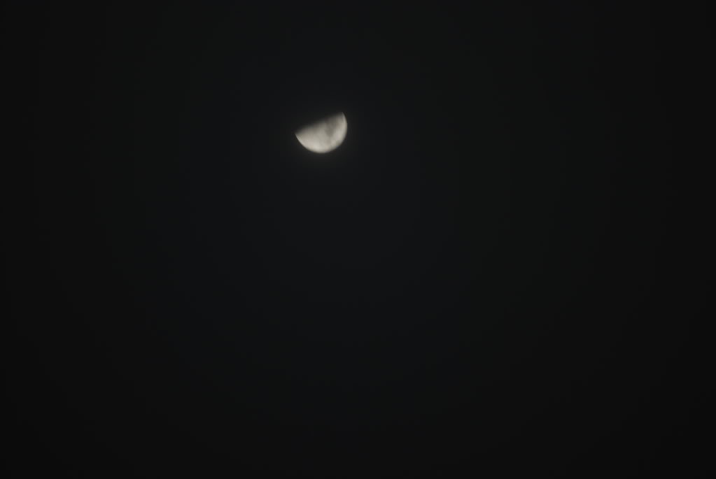 DSC_0141.jpg