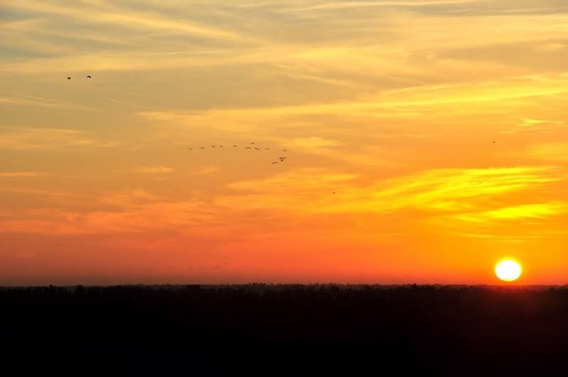 DSC_4124_resize.jpg