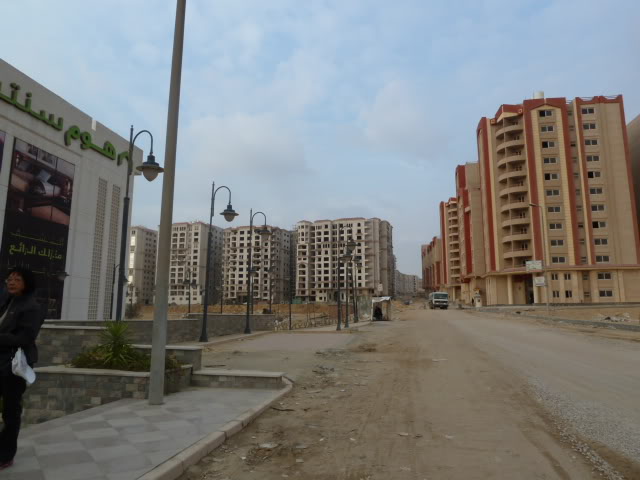 L1020317.jpg