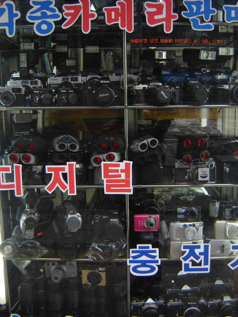 DSC08337.jpg