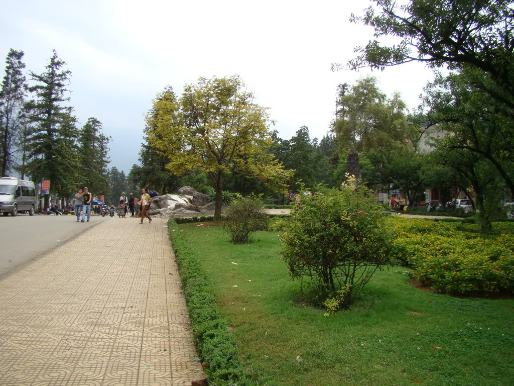 DSC09388.jpg