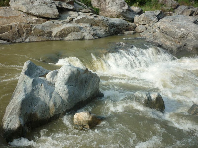 P1000859.JPG