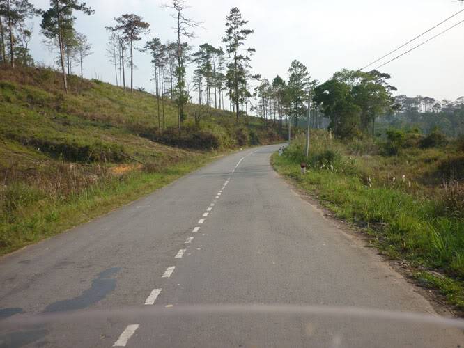 P1070462.jpg