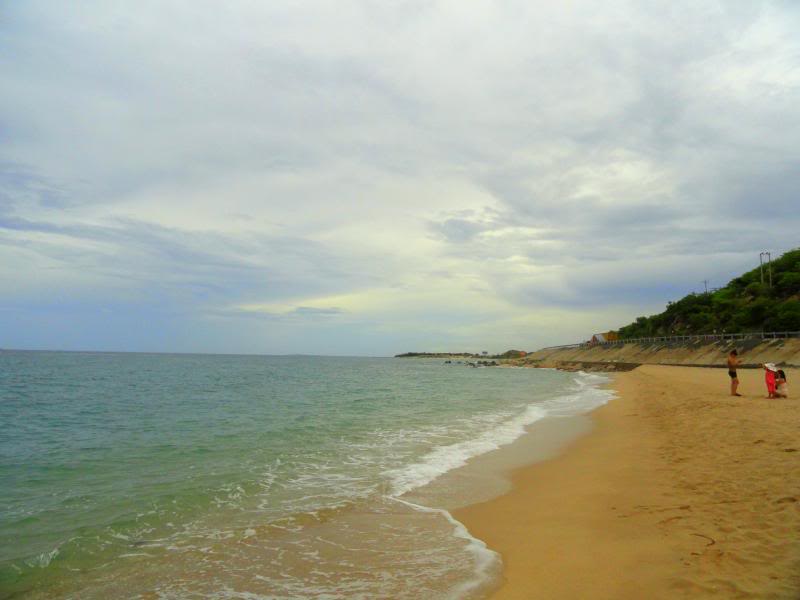 DSC02441_zps66ccd4ce.jpg