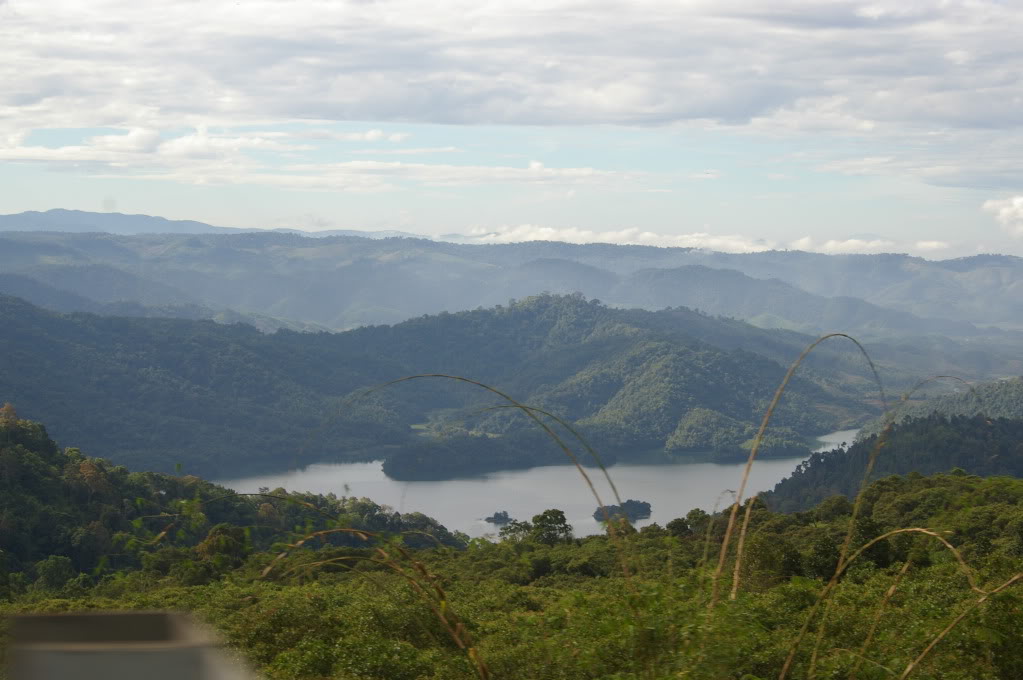 IMGP0113.jpg