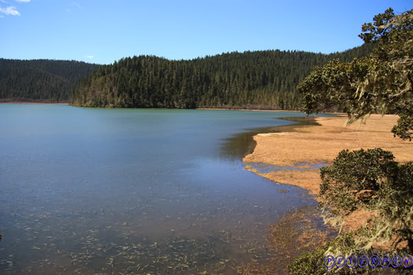 shangri-la244.jpg