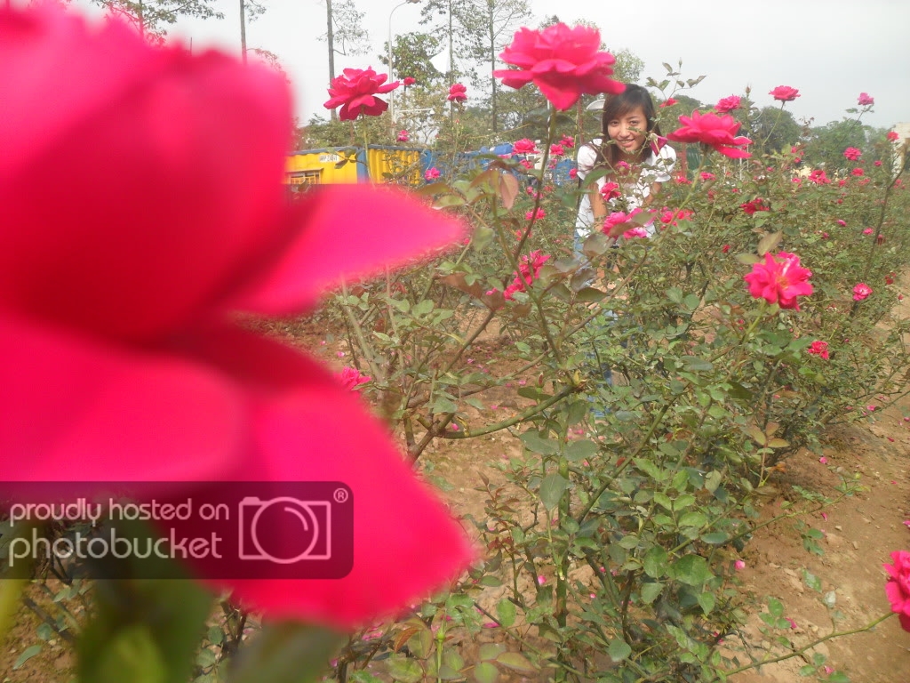 SDC13517.jpg