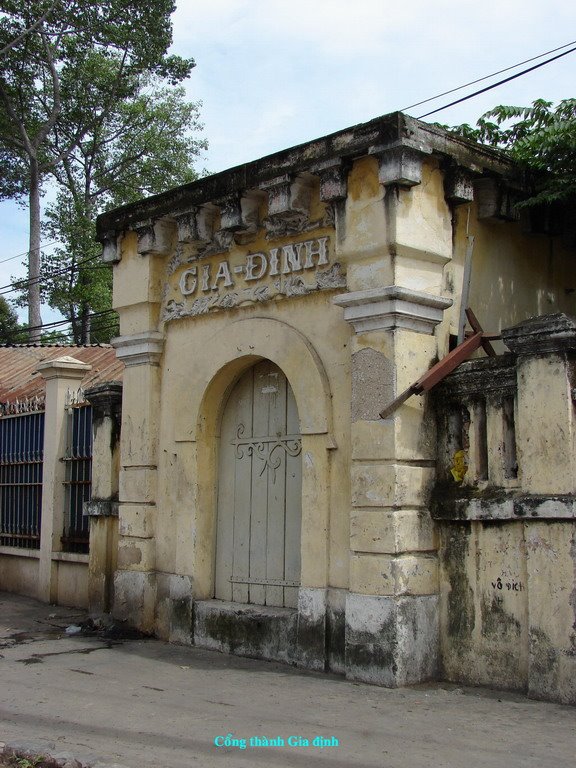 19253445.jpg