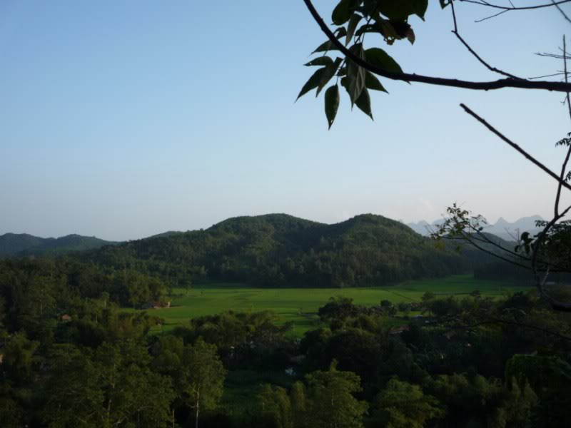 P1010773800x600.jpg
