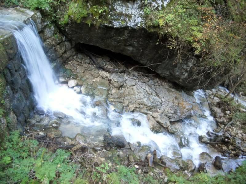 DSCN5309.jpg