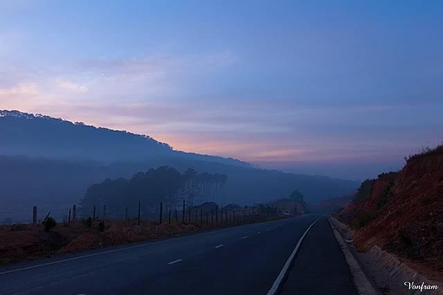 _MG_2381.jpg