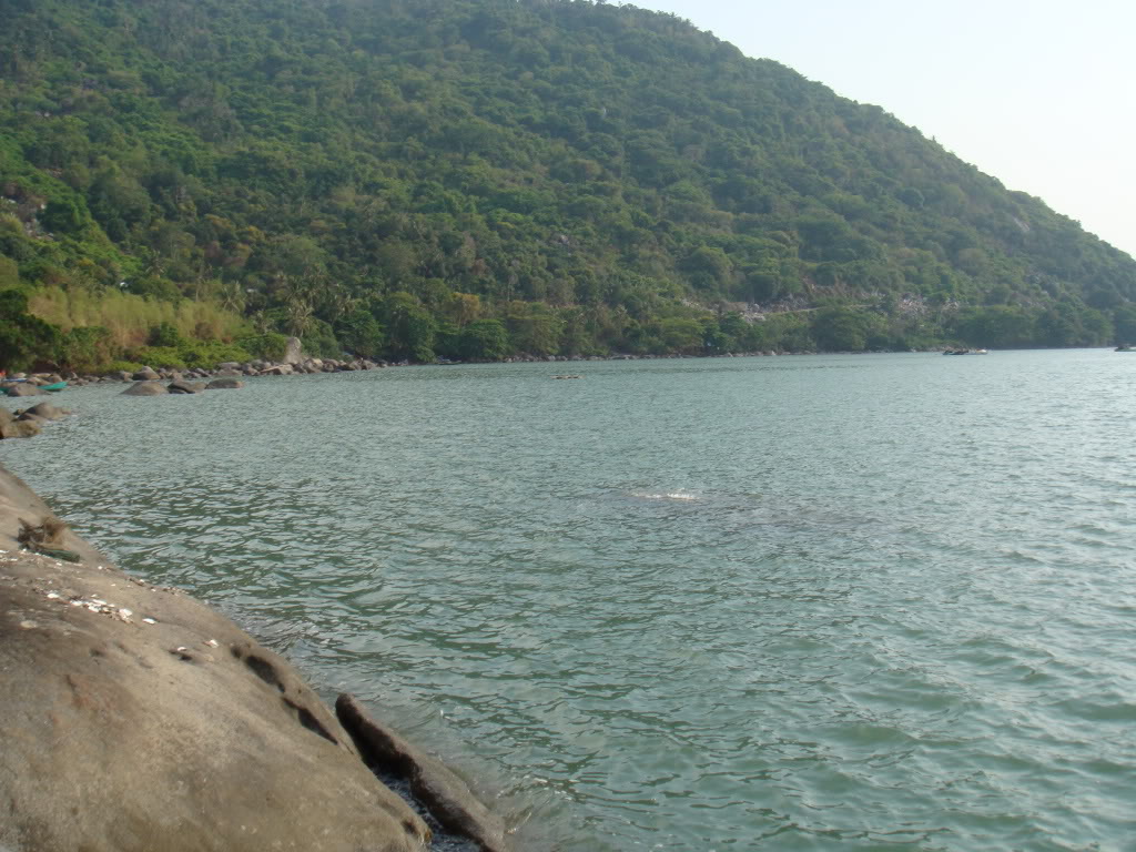 DSC00836-1.jpg