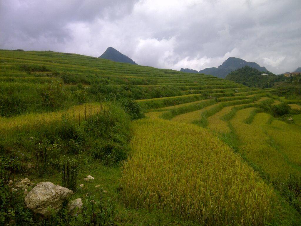 IMG-20130902-00085.jpg
