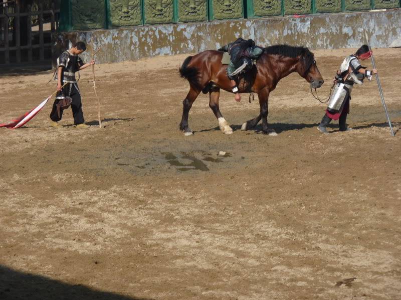 P1030620.jpg