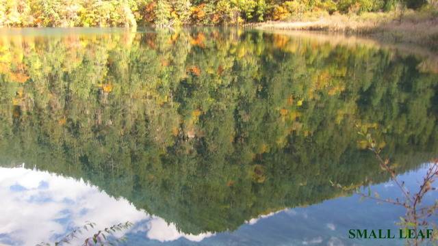 IMG_1984.jpg